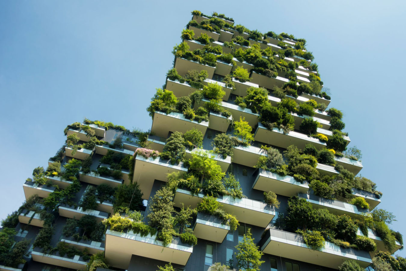 Turkuaz Groups: Building the Future While Preserving Nature