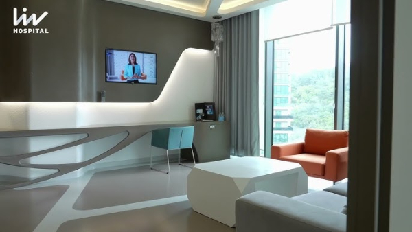 Istanbul Vadi Liv Hospital – 2013